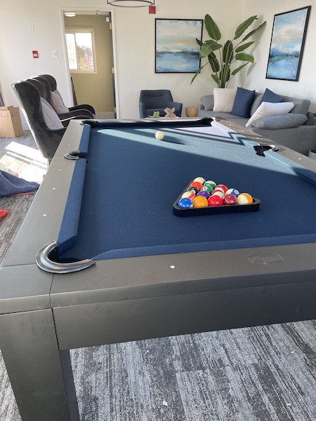 A blue pool table in a naturally lit room with a tool snake plant behind it.